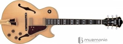 Полуакустическая гитара Ibanez GB10-NT