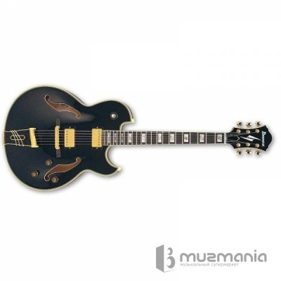 Полуакустическая гитара Ibanez PM120-BK