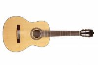 Классическая гитара IBANEZ G 100 NT