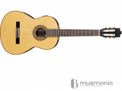 Классическая гитара IBANEZ G 850 NT