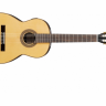Классическая гитара IBANEZ G 850 NT