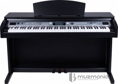 Цифровое пианино Thomann DP-85 B