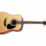 Акустическая гитара Cort AD850 NS