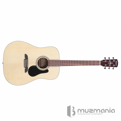 Акустическая гитара Alvarez RD26