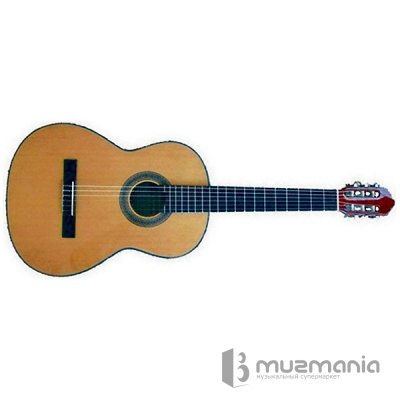 Классическая гитара Manuel Rodriguez Caballero 8