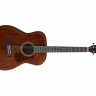 Акустическая гитара Cort  L450C NS