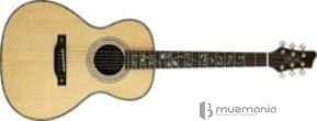 Акустическая гитара STAGG SNA76F