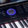 Цифровое пианино Kurzweil X-Pro UP EP