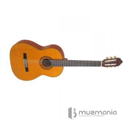 Класическая гитара Valencia CG190