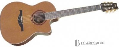 Акустическая гитара LAG 4 Seasons 4S 300 J