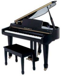 Цифровой рояль Kurzweil MARK 112i BP
