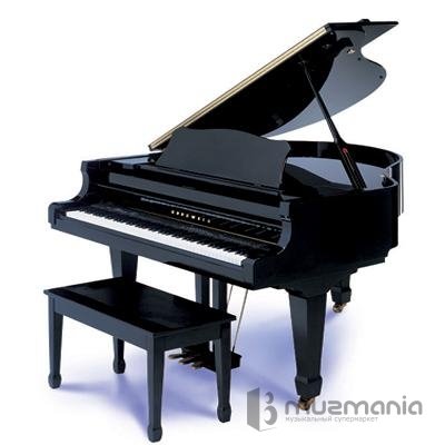 Цифровой рояль Kurzweil MARK 152і WHP