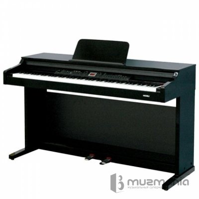 Цифровое пианино Medeli DP40
