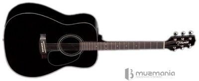 Электроакустическая гитара TAKAMINE G321
