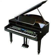 Цифровой рояль Kurzweil X-Pro BG EP