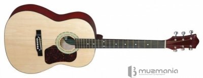 Акустическая гитара MAXTONE WGC 390
