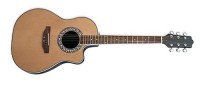 Акустическая гитара MAXTONE 4102 С