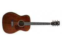 Акустическая гитара Cort  L450C NS