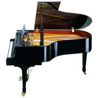 Рояль Mendelssohn GP-01AA-158