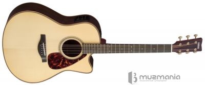 Электроакустическая гитара Yamaha LLX26C