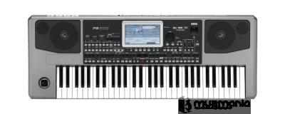 Аранжировочная рабочая станция Korg PA900