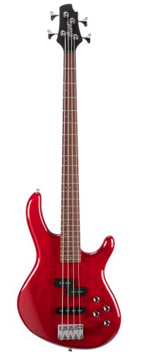 CORT Action Plus (Trans Red)
