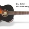 Акустическая гитара EPIPHONE EL-00 VS