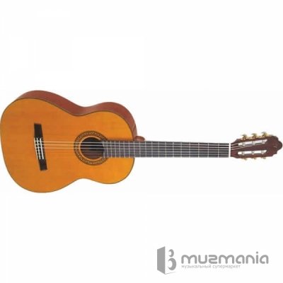 Класическая гитара Valencia CG170