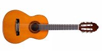 Класическая гитара Valencia СG160