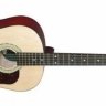 Акустическая гитара MAXTONE WGC3902