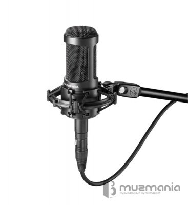Студийный микрофон AUDIO-TECHNICA AT2035
